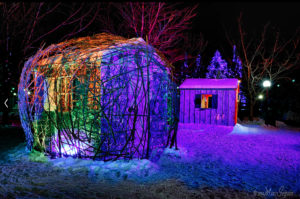 A shed, covered in branches made to match its shape, is lit up by colourful lights on a winter night. / Un cabanon couvert de branches imitant sa forme est illuminé par des lumières multicolores un soir d’hiver.